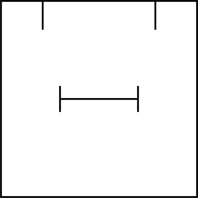 Insert Technical Drawing